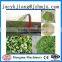 Customers favorite high efficiency CE approved small animal grinder mill