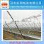 China decorative customizable greenhouse