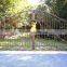metal Security Gate/ wrought iron main gate and steel fence finals wall design for homes