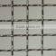 BWG22# galvanized square wire mesh/square wire mesh