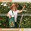 Green Field Foldable Harvest Bag Fruit Picking Bag