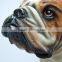 Realistic 3D bull dog resin statue