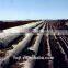 Excellent permeability marine embankment and river bank geotube bag