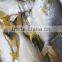 fresh seafrozen golden pomfret