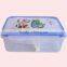 Eco Friendly Rectangular Custom Lunch Box