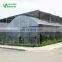 Multispan Tunnel Greenhouse for strawberry grape raspberry&Agricultural Greenhouse