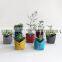 Cute Classic design decorative plant bag felt
