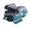 YL8042 1KW single phase electric motor