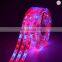 Светодиодные ленты для выращивания растений 5050 SMD LED Plant Strips Light длиной 16,4 фута для аквариума, теплицы и гидропоники