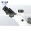 High precision novel 107bn digital camera scanning electron microscope with reasonable price