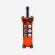 Universal Telecontrol F21-E1 Industrial Radio Wireless Remote Control AC/DC for Crane 2 Transmitters and 1 Receiver