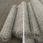 Galvanized Hexagonal Wire Netting Chicken Wire Mesh