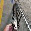 Plastic PVC Painted Black Color Galvanized Steel Anti Climb Wall Spear Razor Spikes