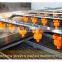 Industrial Carrot Washer Artichoke Beet Mushroom Broccoli Cleaning Line Vegetable and Fruit Washing Machine