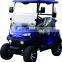 Electric Golf Cart Lifted Golf Cart with Lithium Battery and Curtis AC Controller
