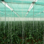 Sunshade Net Shade Net for Agriculture Shade Sails Enclosure Nets Protection UV Outdoor HDPE 50-150GSM