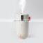 2021 best sale Portable Mini USB Ultrasonic Humidifier Mist Spray Moisturizing Air Humidifier Diffuser for Office Car Bedroom