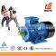 Cast Aluminium Body MS General Induction Electromotor Spare Parts For Air Compressor