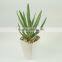 Artificial aloe plant