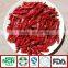 Tianying Chilli without Stem
