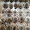 Popular raccoon fur pom poms keyrings /bag charm for decoration