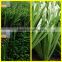 2016 Popular 50mm Soccer Football Synthetic Turf Artificial Grass SS-041004-ZJ