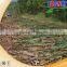 China agricultural factory supply sugar cane harvester with top chopper/sugar cane harvesting machine price