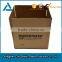 Custom print Projector Paper Box