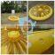 new design water fun PVC lemon fruit pool float for sale