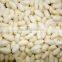 China Blanched Peanut kernels in long shape best price