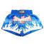 GX9681 Multi Colors Training Silk-like With Embroidering Muay Thai Shorts Short