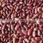 20015 New Crop British Type Dark Red Kidney Beans