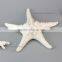 BSCI Audit Cute Blue Ocean Ceramic Starfish Home Decor Wholesale