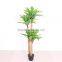 Artificial decoration plant fake Dracaeana tree