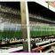 Color coated tinplate for food canning