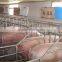 Pig penning of gestation house