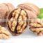 high quality walnut kernel with good price,shelled walnut kerne,l natural LH walnut kernel