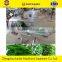 Multi-function stems leafy vegetable cutting machine