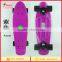 Wholesale Plastic Skateboard,PP Skateboard