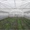 Cheap price greenhouse with greenhouse plastic sheet