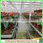 Renewable polycarbonate sheet garden greenhouses with automatic control system