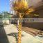 SJ2001207 New arrival golden plastic artificial palm fan tree