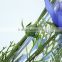 Home garden decoration 90cm hight blue chrysanthemum wedding flower EHMF03 0406