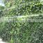 vertical garden green plants wall,green wall backdrop