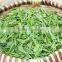 Fresh and mellow taste chunmee green tea, Grade Special 41022AAA