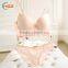 HSZ-28801 New Arrivals 2017 Beautiful Bra Sexy Fancy 32 Size Bra Latest Design Lingerie Panty New Style Your Own Brand Underwear