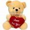 HI CE funny bear plush toy for kids,customized stuffed bear doll for hot sale