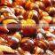 Factory sale roasted nuts machine/small nut roasting machine/peanut roasting machine