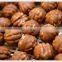 Industrial  220v walnut shape waffle machine maker electric with factory price