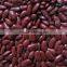 white kidney beans for sale Kidney Beans Dark Red wholesale